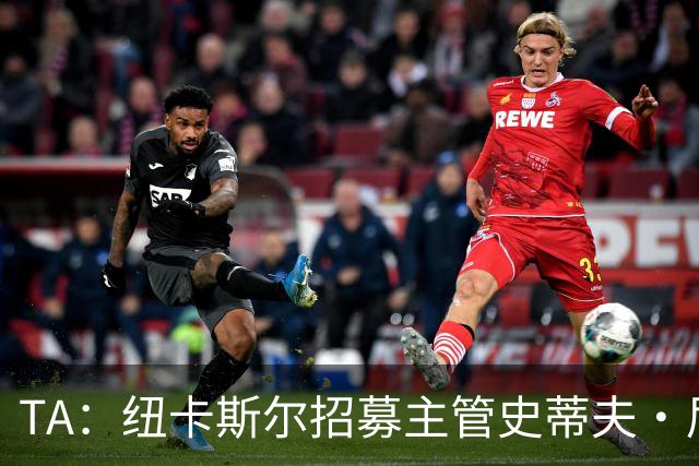 TA：纽卡斯尔招募主管史蒂夫·尼克森即将离开俱乐部